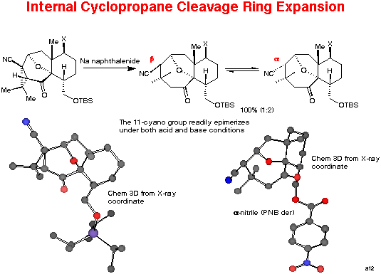 Pyrylium-ylide approach to the taxane core structure