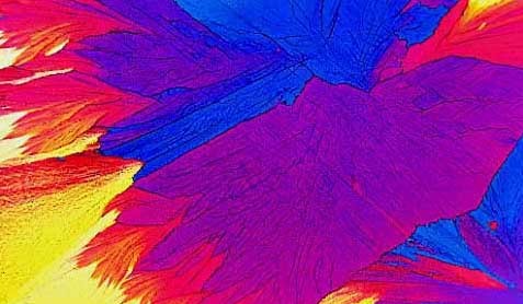 Salbutamol crystals under a microscope