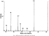 mass_spec.gif (13872 bytes)