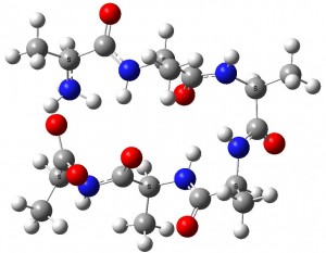 The Cyclol Hypothesis for protein structure: castles in the air ...